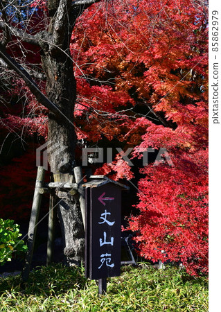 秋天的紅葉盛開，秋天的定山年，四仙閣 85862979