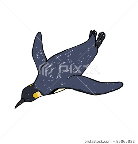 游泳帝企鵝手繪插畫 85863888