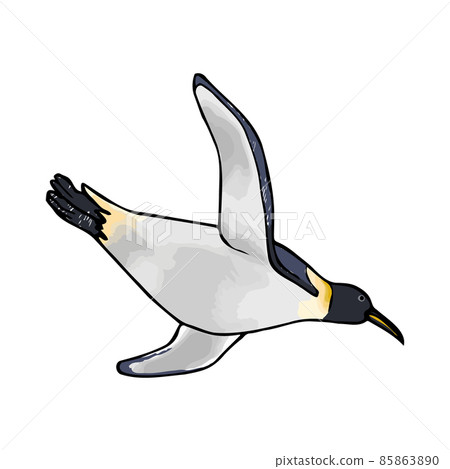 游泳帝企鵝手繪插畫 85863890