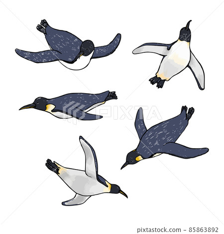 游泳帝企鵝手繪插畫集 85863892