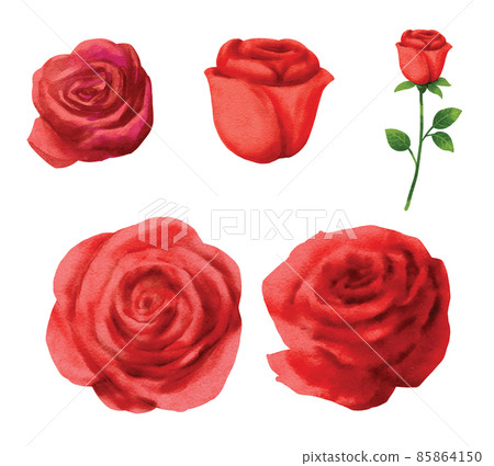 Red rose flower set for valentines day in watercolor style. Red rose flower set for valentines day in watercolor style. 85864150