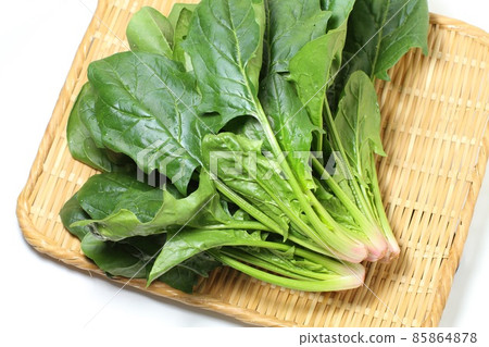 新鮮菠菜，濾鍋，白色背景 85864878