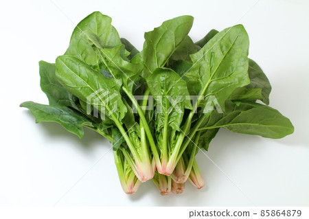 新鮮菠菜，白色背景 85864879