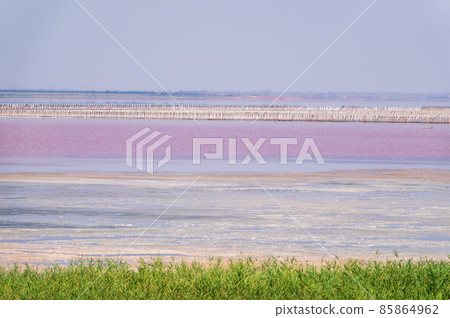 A beautiful salt lake with pink water. A beautiful salt lake with pink water. 85864962