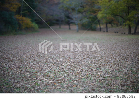 Late autumn open space 85865582