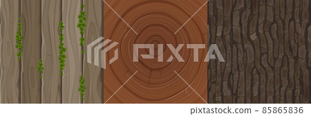 Wooden textures of cut tree trunk, bark and boards Wooden textures of cut tree trunk, bark and boards 85865836