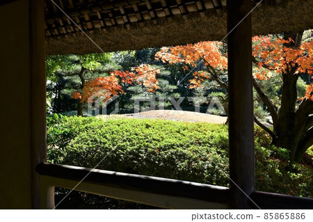 Autumn leaves in full bloom, Jozanen in autumn, Shisenkaku 85865886