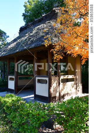 Autumn leaves in full bloom, Jozanen in autumn, Shisenkaku 85865888