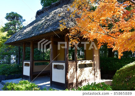 Autumn leaves in full bloom, Jozanen in autumn, Shisenkaku 85865889