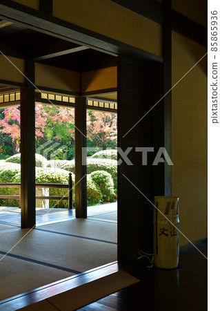 Autumn leaves in full bloom, Jozanen in autumn, Shisenkaku 85865936