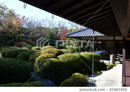 Autumn leaves in full bloom, Jozanen in autumn, Shisenkaku 85865988