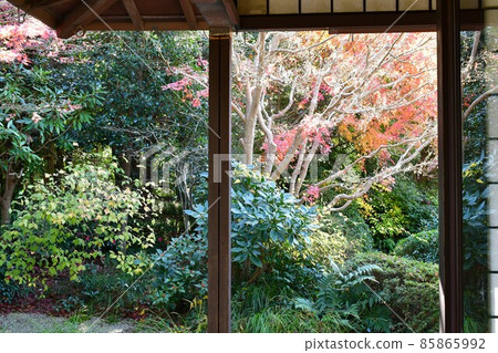 秋天的紅葉盛開，秋天的定山年，四仙閣 85865992