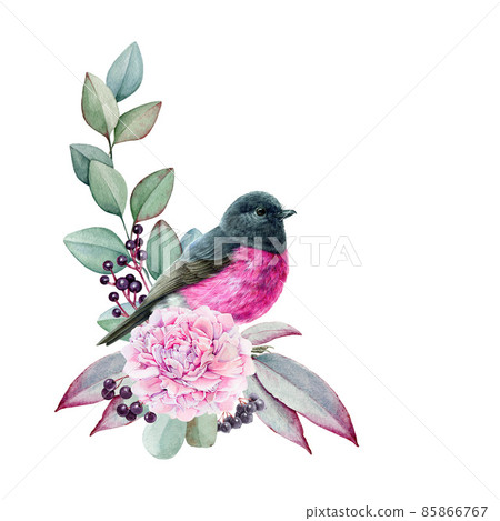 Beautiful pink robin bird eucalyptus floral arrangement. Watercolor illustration. Hand drawn eucalyptus leaves, flower and pink robin small bright bird. Tender lush decoration. White background Beautiful pink robin bird eucalyptus floral arrangement. Watercolor illustration. Hand drawn eucalyptus leaves, flower and pink robin small bright bird. Tender lush decoration. White background 85866767