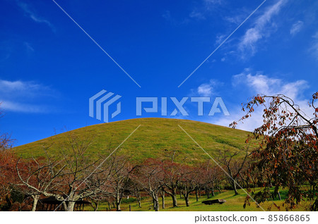 Higashiizu Omuroyama Higashiizu Omuroyama 85866865
