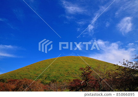 東伊豆大室山 85866895