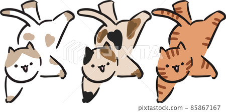 倒立貓 倒立貓 85867167