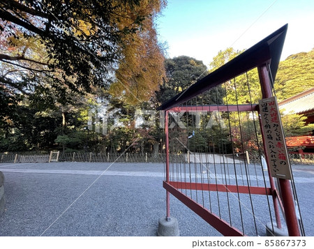Kamakura Tsurugaoka Hachimangu Shrine Omikuji tying place Kamakura Tsurugaoka Hachimangu Shrine Omikuji tying place 85867373