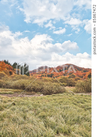 Onhara高原上的秋葉和藍天（垂直構圖） 85867472