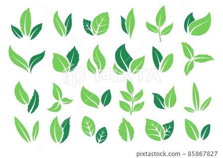 Mint leaves. Green cartoon peppermint and leaves, organic product and vegetarian food logo. Vector herbal symbol natural image Mint leaves. Green cartoon peppermint and leaves, organic product and vegetarian food logo. Vector herbal symbol natural image 85867827