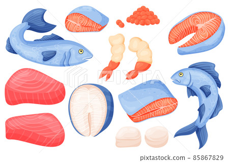 Seafood meat. Cartoon salmon tuna shrimps and white fish filet meat and steak. Vector fish isolated set illustrations collection foods 85867829