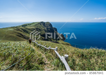 Rebun Island, the northernmost point of Japan (Japan-Hokkaido-Momoiwa Observatory Course) 85867841