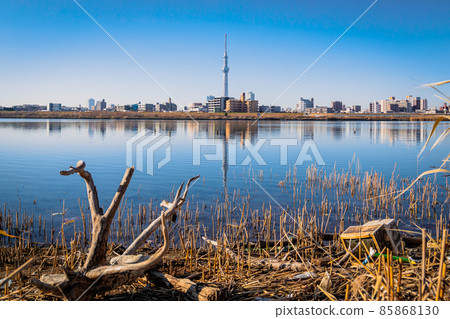 "Tokyo" Sky Tree and cityscape seen from the Arakawa riverbed 85868130