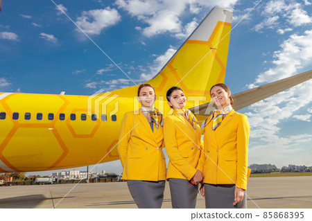 Three joyful flight attendants standing near plane at airport Three joyful flight attendants standing near plane at airport 85868395