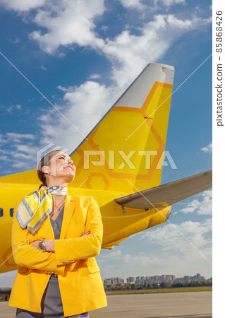 Cheerful woman flight attendant standing near plane outdoors Cheerful woman flight attendant standing near plane outdoors 85868426