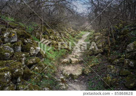 Trail with old stone ruins in the rock Cave city Chufut-Kale in Bakhchysarai, Crimea Trail with old stone ruins in the rock Cave city Chufut-Kale in Bakhchysarai, Crimea 85868628