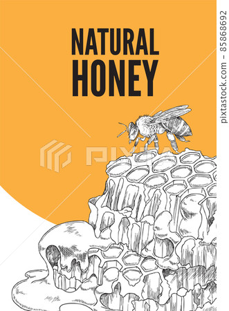 Natural honey banner layout with bee on honeycomb, sketch vector illustration. Natural honey banner layout with bee on honeycomb, sketch vector illustration. 85868692