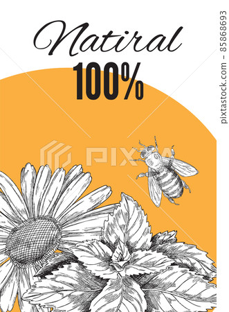 Natural honey banner or poster layout hand drawn sketch vector illustration. Natural honey banner or poster layout hand drawn sketch vector illustration. 85868693