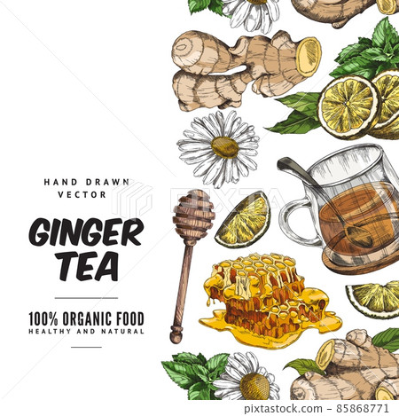 Hand drawn ginger tea social media poster template, sketch vector illustration on white background. Hand drawn ginger tea social media poster template, sketch vector illustration on white background. 85868771