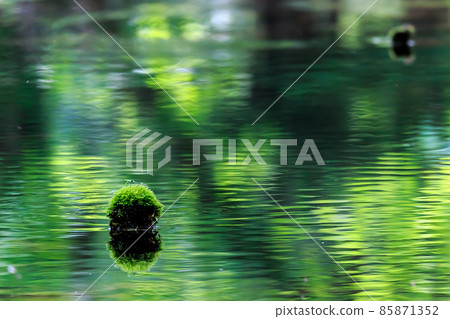 北海道苫小牧市法羅內川 北海道苫小牧市法羅內川 85871352