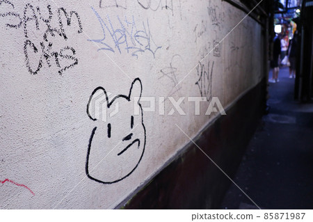 Graffiti drawn in the back alley Graffiti drawn in the back alley 85871987