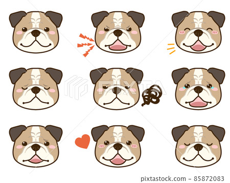 Bulldog facial expression face icon 85872083