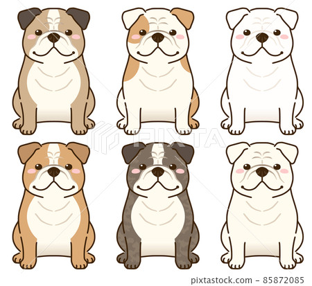 Bulldogs of various coat colors 85872085