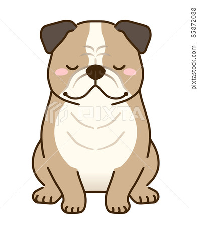 Bulldog bowing 85872088