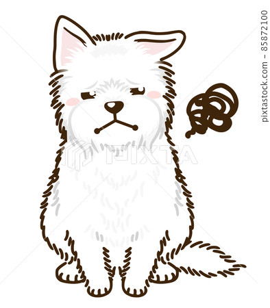 Dissatisfied West Highland White Terrier 85872100