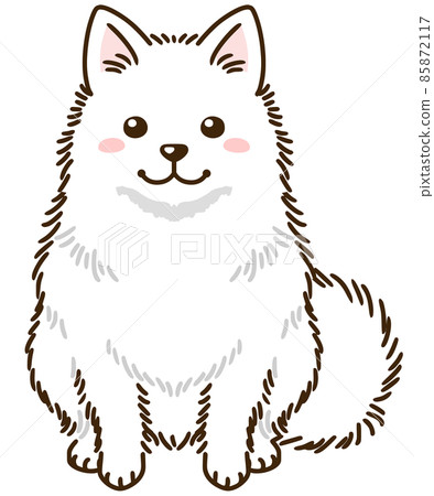 日本斯皮茲 85872117