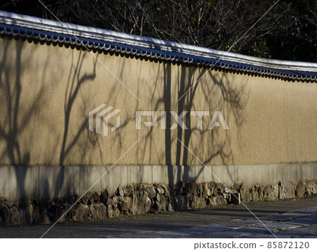 一棵樹的影子落在土牆上 一棵樹的影子落在土牆上 85872120