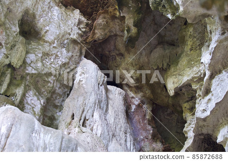 Details and forms of rocks on Railay peninsula, Thailand 85872688