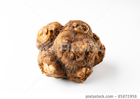 Eight heads Eight heads 85872958