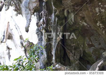 Details and forms of rocks on Railay peninsula, Thailand 85873389