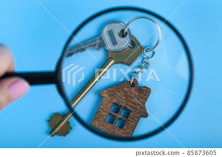 Find a home or a flat concept. 85873605
