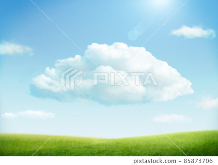 3d suuny grass field background 85873706
