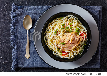 chicken noodle soup with carrots and scallion chicken noodle soup with carrots and scallion 85873810