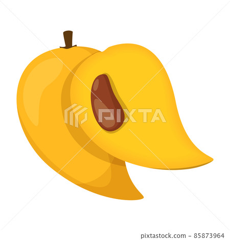 Canistel fruit vector isolated. Tropical sweet dessert 85873964