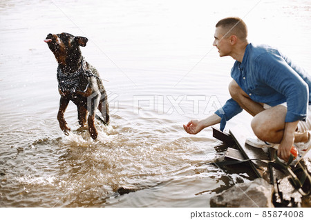 Man with rotweiller dog playing together in the lake Man with rotweiller dog playing together in the lake 85874008