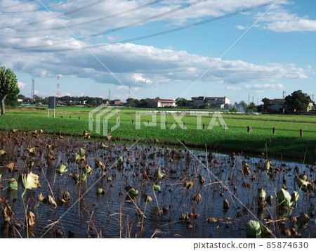 Scenery of Tone Town Scenery of Tone Town 85874630