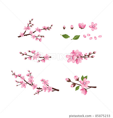 Cute Sakura flowers icon set. The cherry branches have bloomed. Spring pink blooming composition with buds and leaves. Festive decorations for wedding, holiday, postcard, poster. Vector illustration 85875233